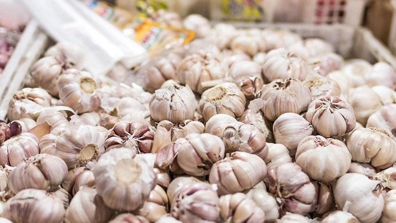 ������ ������� ������������ ��������