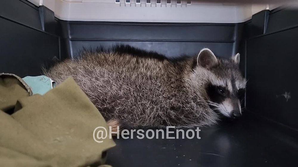 ���� �� �������: �������� ���, ������!. �� ��� � ���� ������� �� ������ ����������. ���� �������� � ��� ��� �������, � ����� ������ ���-��� ����������