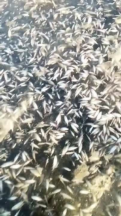 ����������� ����� ���� � ������