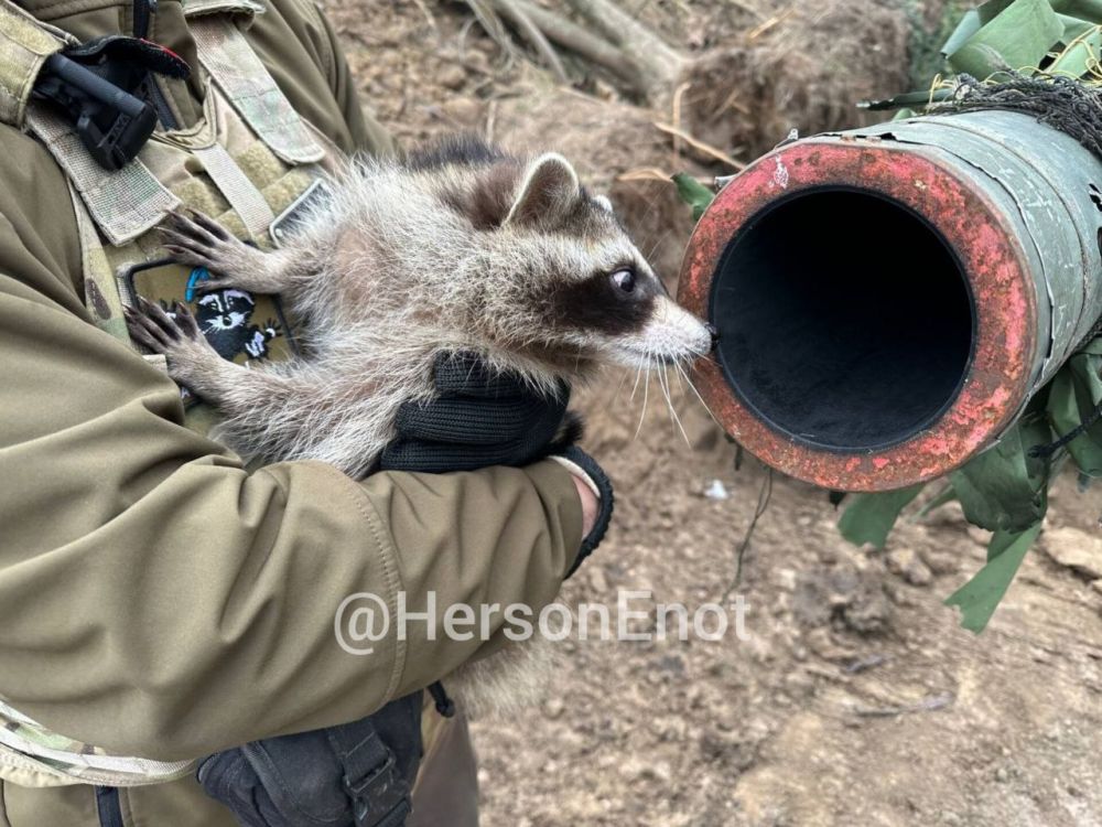 ���� �� �������: ������� �������� � ������ � ���������� � ���������� ��������