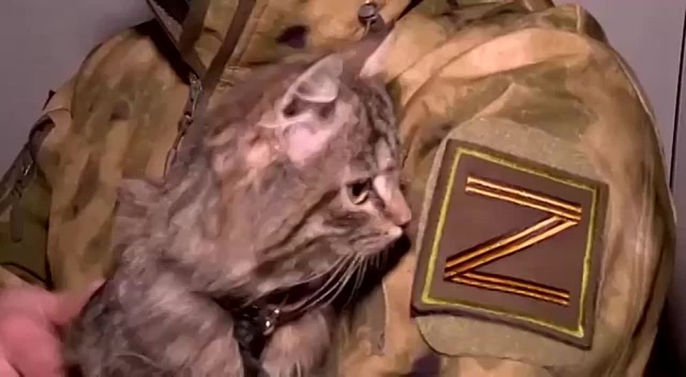 ��� �� ������ ���� ��� �������� ������ ���������� �� ����� ���������� ����� � ������ ����� � ��� ���� � �������� �������, ���� ������ �����