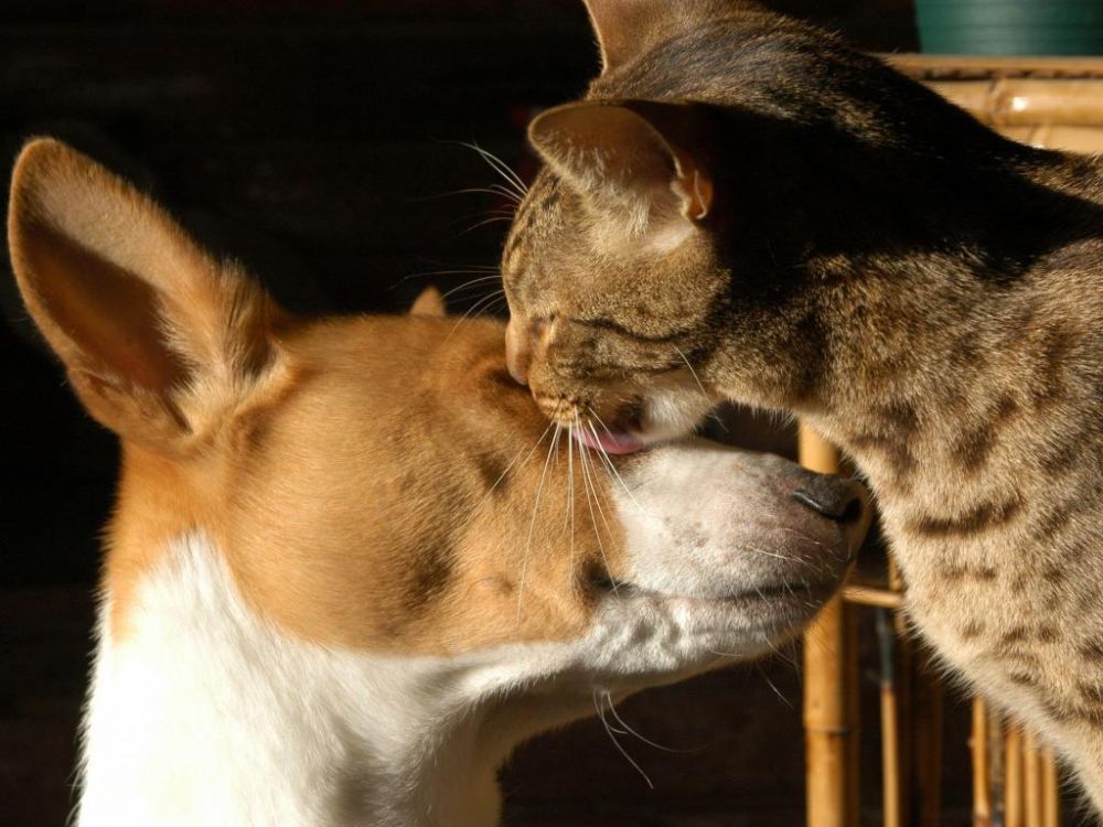 ������ ������� ������ � ������������� ���� ��� �������� ��������