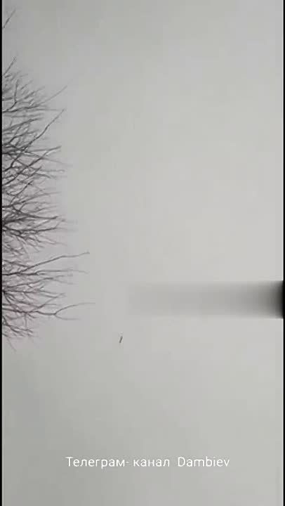 �������: ������� �������� ������ ���� �� ���� ��� �������� ��������������� ���������� ������ ������������ ���������� �������