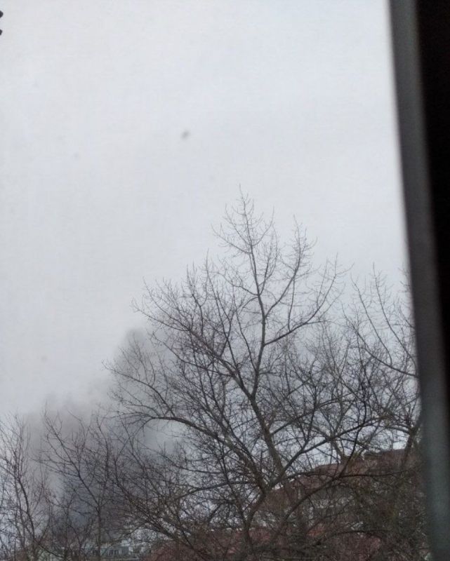 ������ ����� ������ �������� �� ������� 2 �������