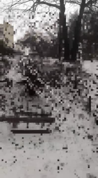 ����, ������ ����� �������