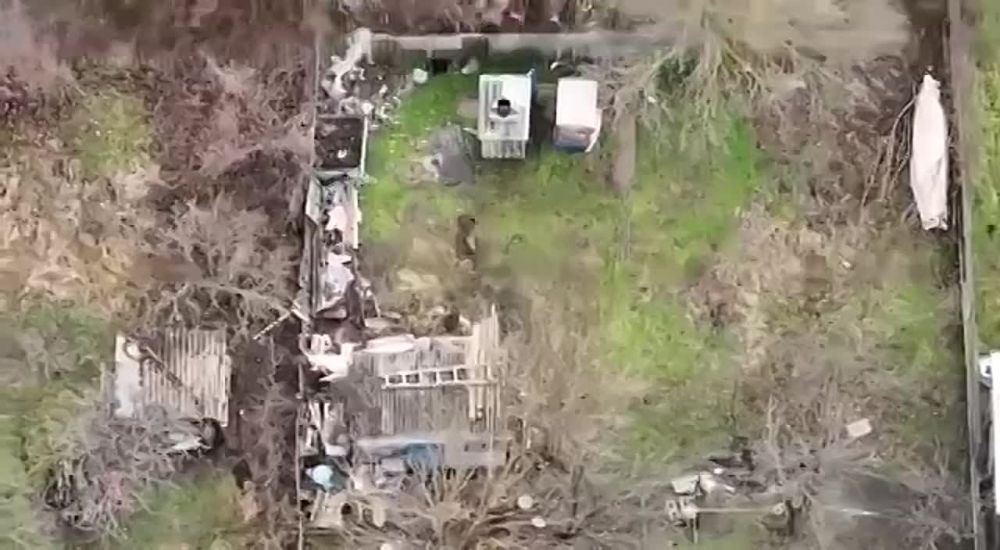 ��������������� �� ������ ����� ���������� ����� ������� - ����� �� ����� ����������