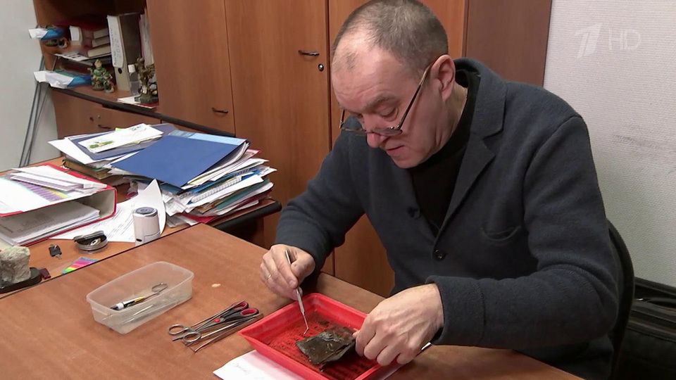 ���������� ������� � ���� ���������� ����� ������� ������� ����� �������� �������������