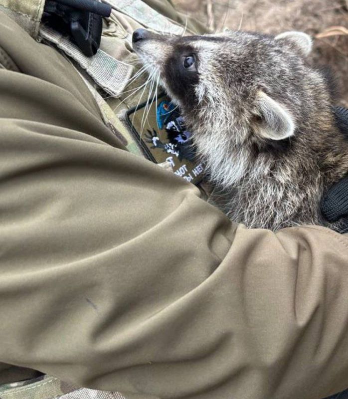 ���� �� �������: ������� ���, ������!. ������� �� ��������� ��������� ���. ���������, �����������, ������ ���� ������, �� � ���-��� ���������� ��� �������