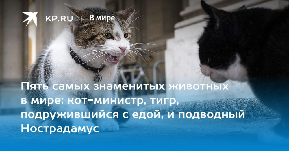 ���� �� �������: ��������, ��� ����� � ������ ����� ���������� �������� � ���� �� ������ ��?