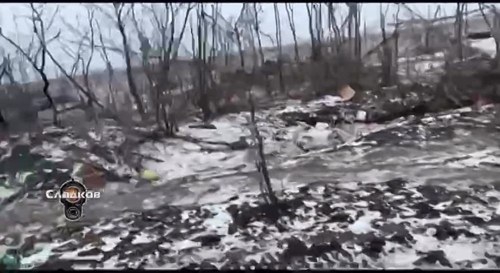 �������� ������ �������� ��������: