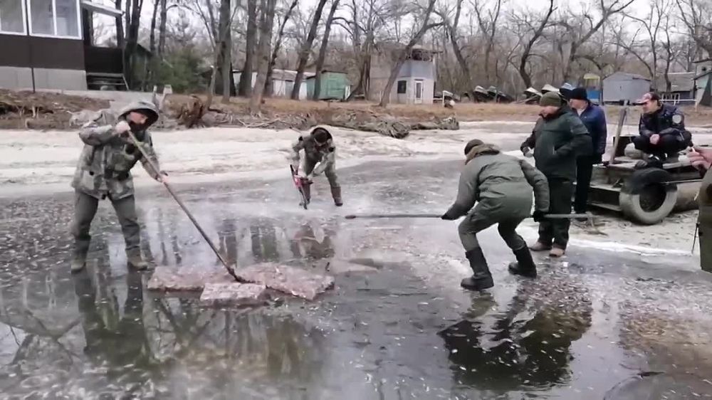 �������� ��� �������� � ������������� ���������� �� ���� �����