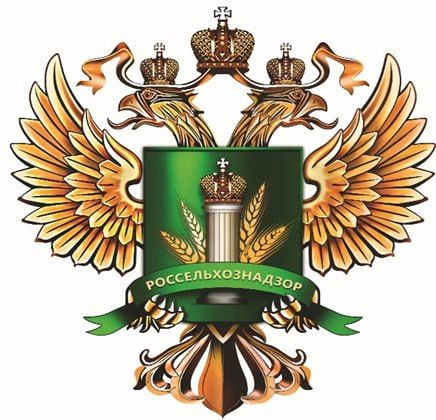 ��������� �����������������, ���������� ������������ ������, ������������ ����� �������������� � ������������ ��������� �������� ����� ����������� �� ���������: