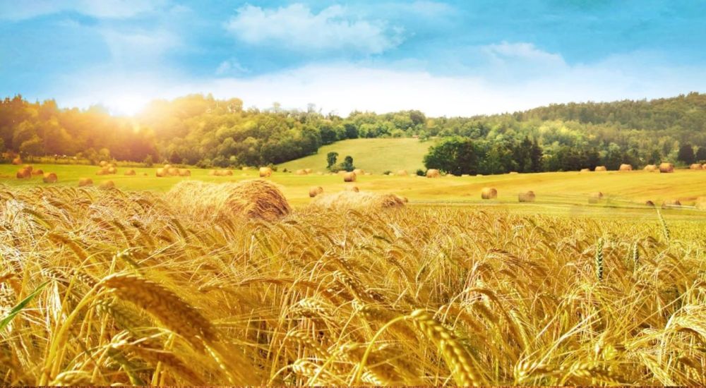 ������ ������������ ������� ���������� �������: