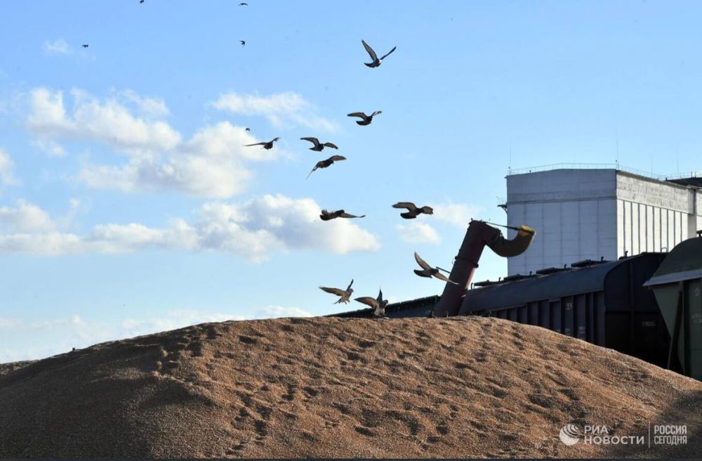 ������ �� ����� ����������� ������