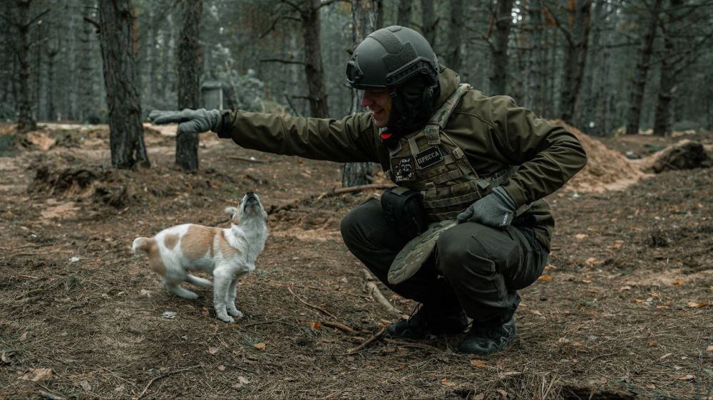 ���������� ������� � ������� �������� � ������� � ����