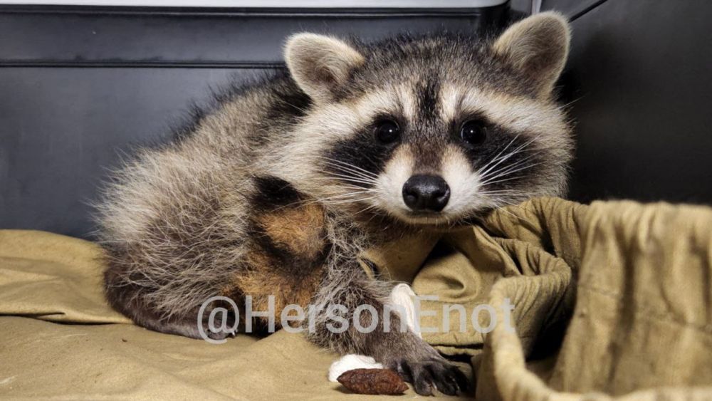 ���� �� �������: ���� �������� ���! �� ����������