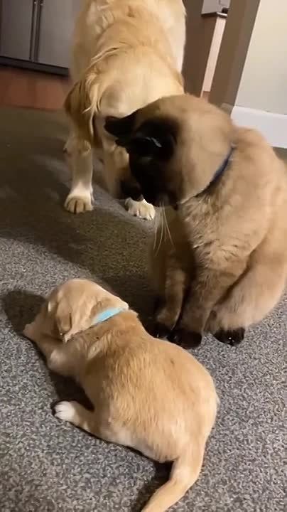 ������ � �����: ���� ������ �����?!