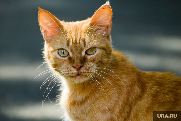 ������� �� ������ �������������� ������ ����� ������� �������� � ��������