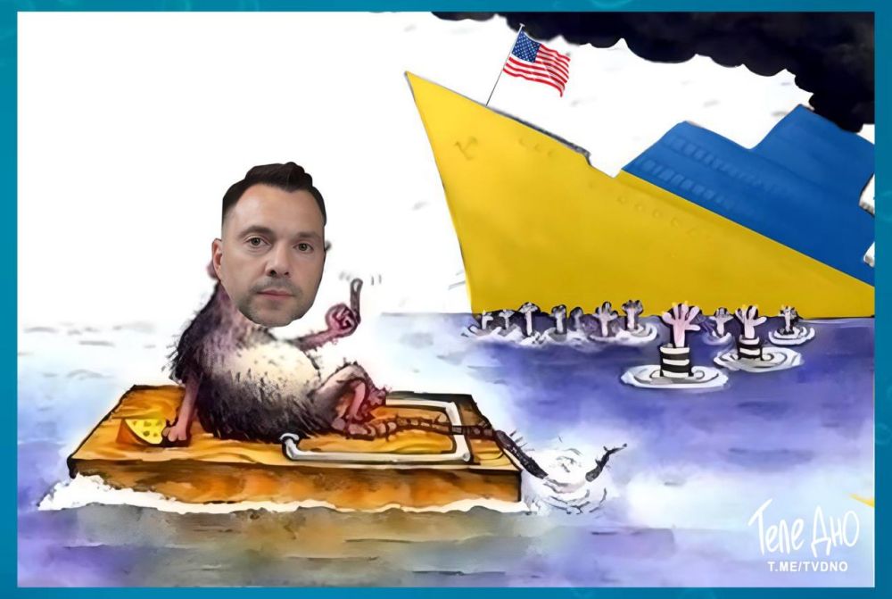 ����, ����, ����!