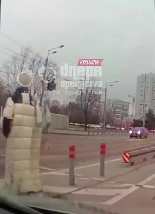 #���_�����. �����: �������� "�����������" ������