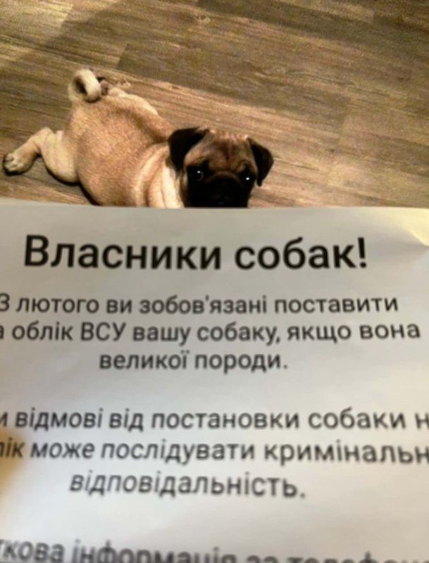 #��������. ���� ������ � ������ 404 ������������, ������ ��� ����������, ������ ���� �����. ����� ������ ������ ������� ����� ������� ����� �������� �� ����