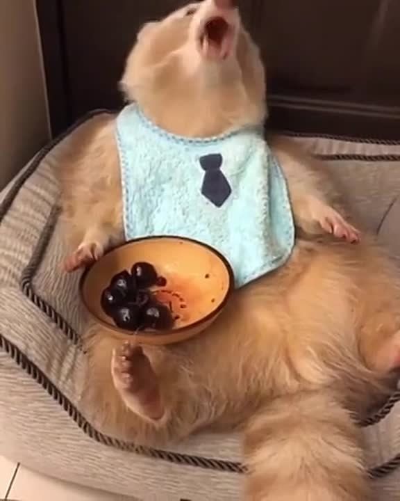 ����� ���������� �������, ��������� �������� � ������ ���������