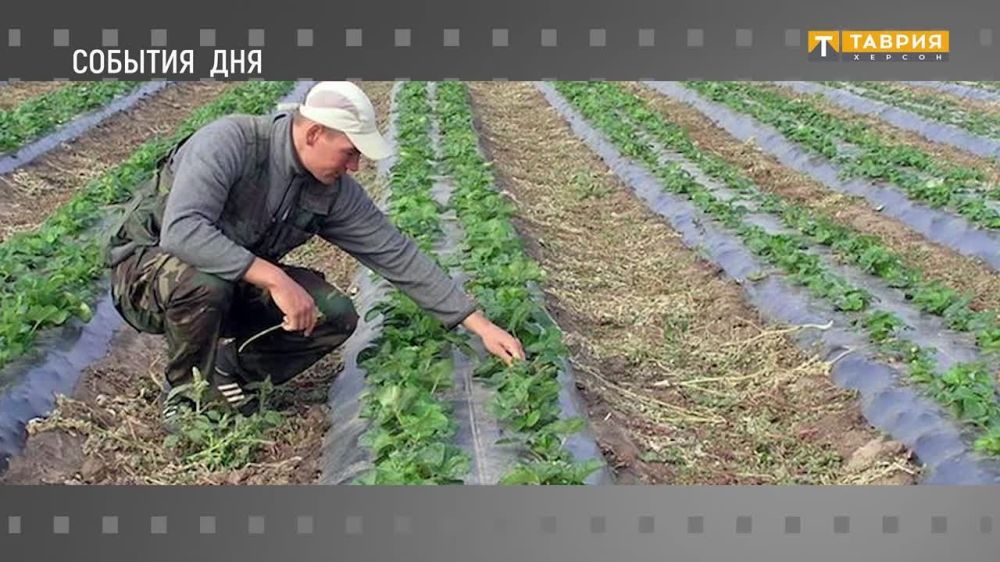 ���������� �������. ������� ���: