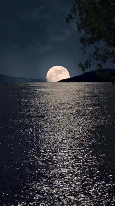 ������� ���� ������!. �� ���������� �����: