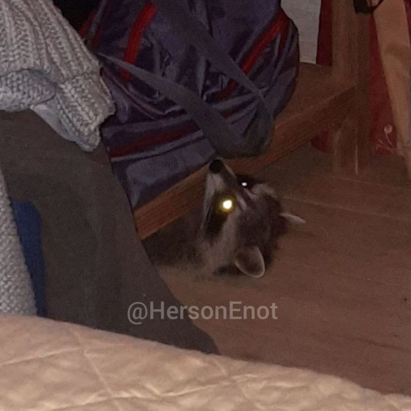 ���� �� �������: ���, �� ������� � ���� ������ ���� �����, ������!