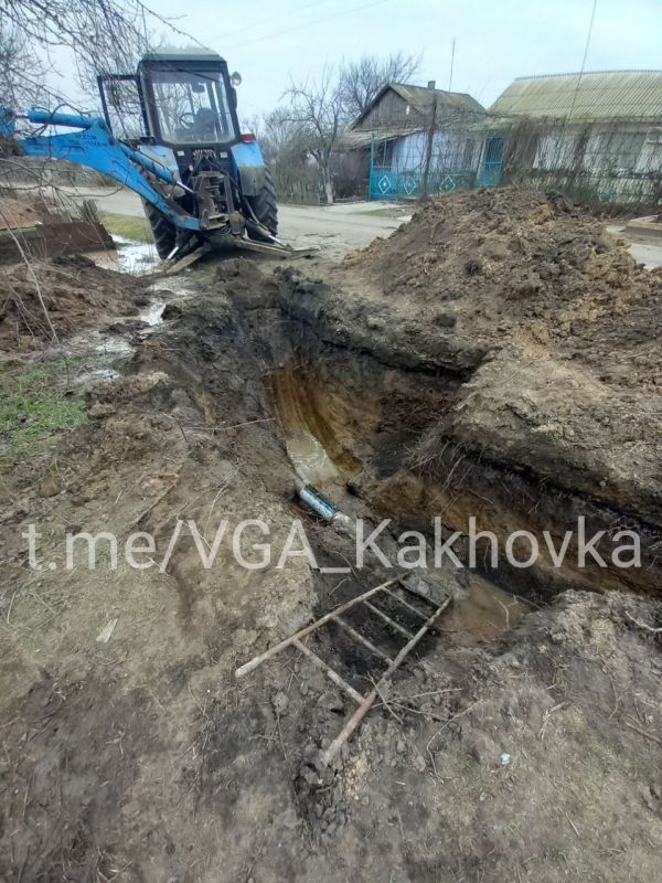 ����������������� ������������ ����������� �����������: