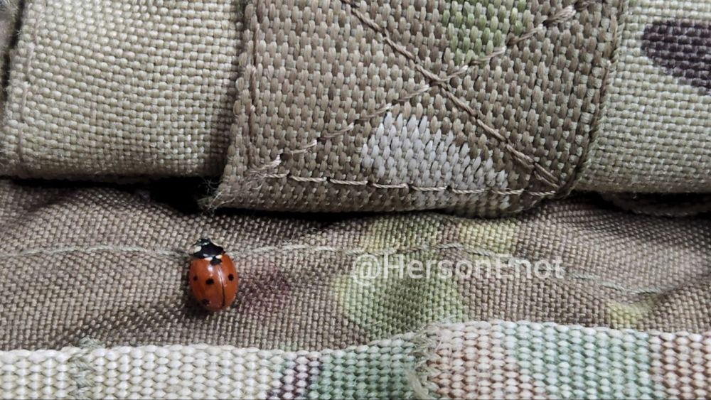 ���� �� �������: ���� ������ �� ��������� � �������� ������ � ��������� ����