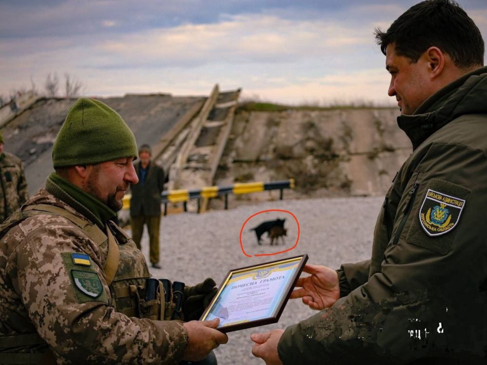 ��������� �������������� ���������� ���������� ���������� ���� ��������� ���������