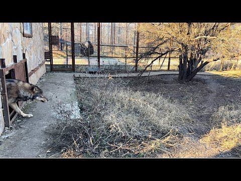 ������� �������