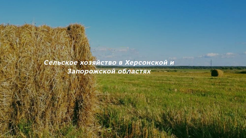 � ����������������� ����� ��������� ����� ������ �� �������� ������ � ����������� ���������������� ��������� � ����������� � ���������� �������� � ���� �����ѻ ��������� ��������� � ����������� ������������ ������������� �� 2022 ���