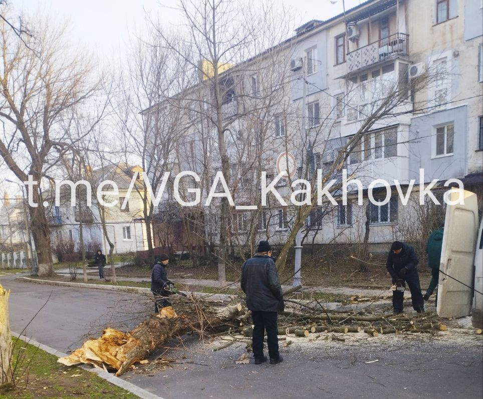 �� "���" ���������� ������������� ����������� ��������� �� �������