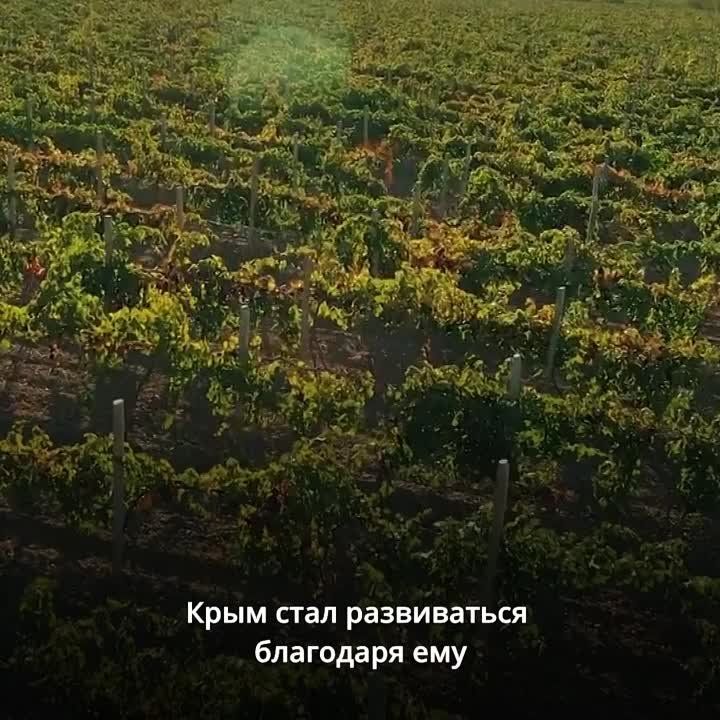 ���, ���, ��������� � ������ ����� ������ ������