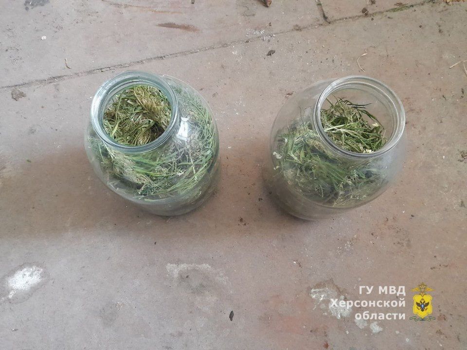 ����������� ������ ��������� � ������������ � ������������ ������������� �������