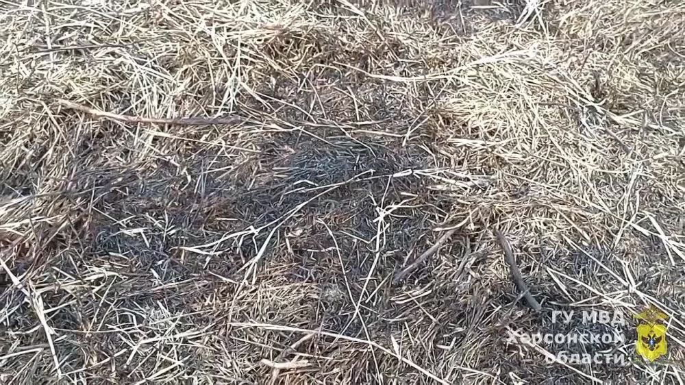 � ���������� ������� ����������� ����� �������� ����� � ������ ���