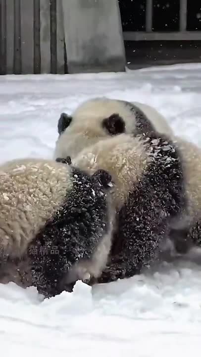 � ������ ����� ������!. �� ���������� �����: