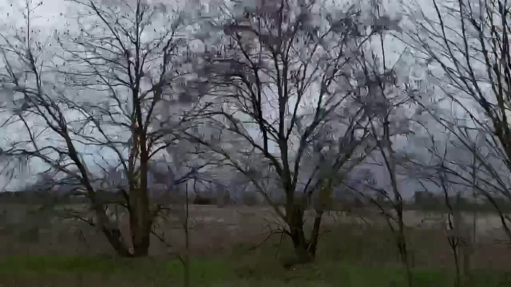 � ���� ������ ������ � ������� ��������� ����� ����������� ���. ����������� ��������� ��������� � ������ ����������� �� ��� ���