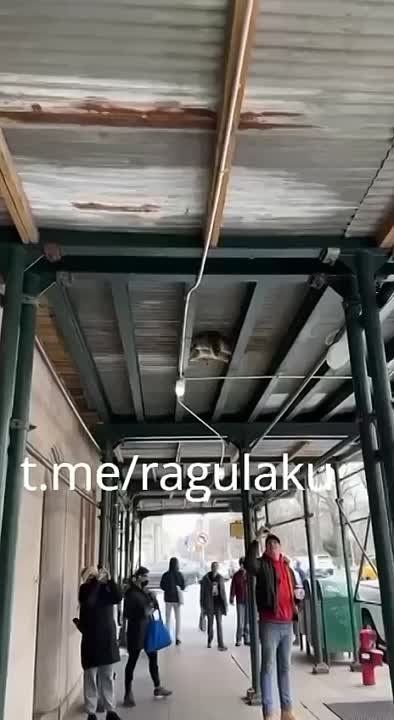 ���������� ���� ��������� ������� � ���� �����!