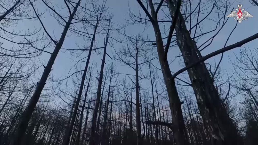 ������ �������� ��������� ������ ������ ������ ������� �� ����������� ���� � ���������� �������