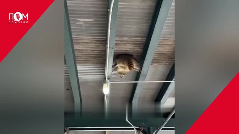 ���������� ���� �� ����������� � ���� �����!