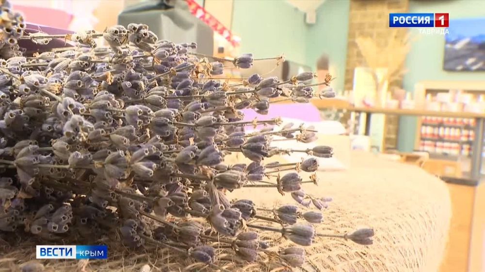 ����� �������������-������������� ��������� �������� ������