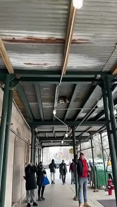 ��� �������� ���������� ���� ����������������� ������, ������������ � ��� ������