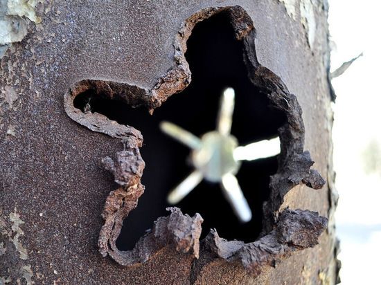 ������������ ������ �� �������: ������-���������� 21 ������