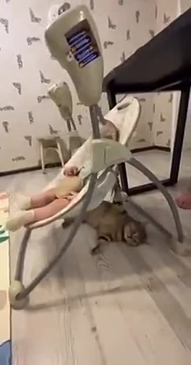 ������� ��������, � �� �������� ��������� �� ���