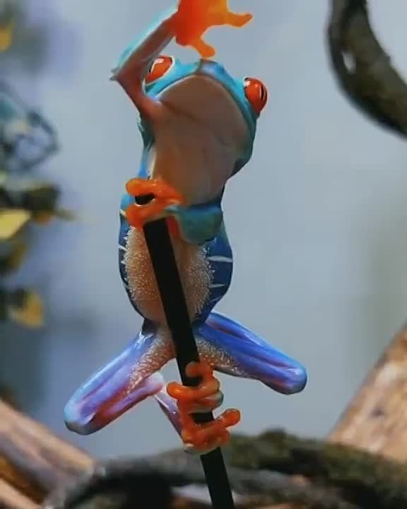 � ������ ����� ������!. �� ���������� �����: