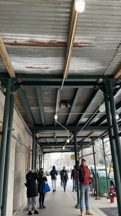 ���� �� �������: . ���� �� ����������� �� �������, ���� ������ ��������� � ���������, ���� ������� ����������� � ������� � ��������� ����� � ���