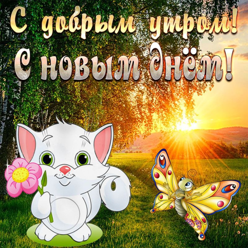 �� ���������� �����:. @NSDVKhersone